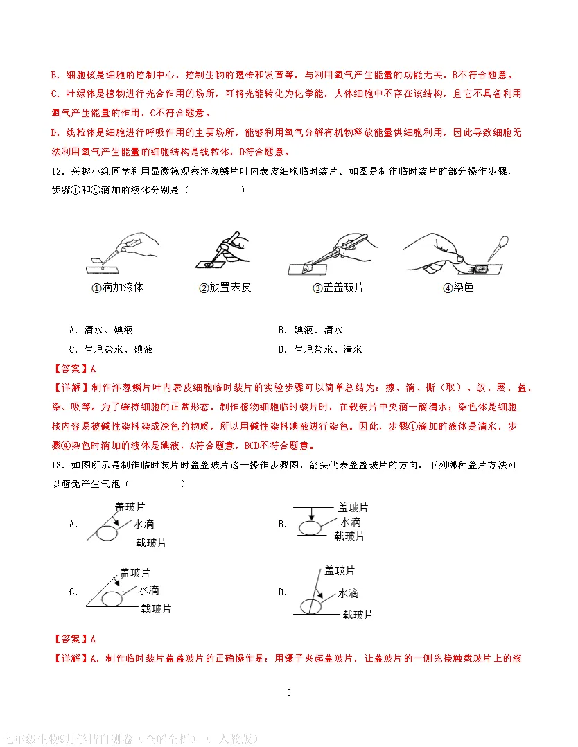 【试卷】2026-2027学年人教版七年级上学期生物第一次月考试卷(含答案解析)-第16张图片-四季读书网 【试卷】2026-2027学年人教版七年级上学期生物第一次月考试卷(含答案解析)-第16张图片-四季读书网