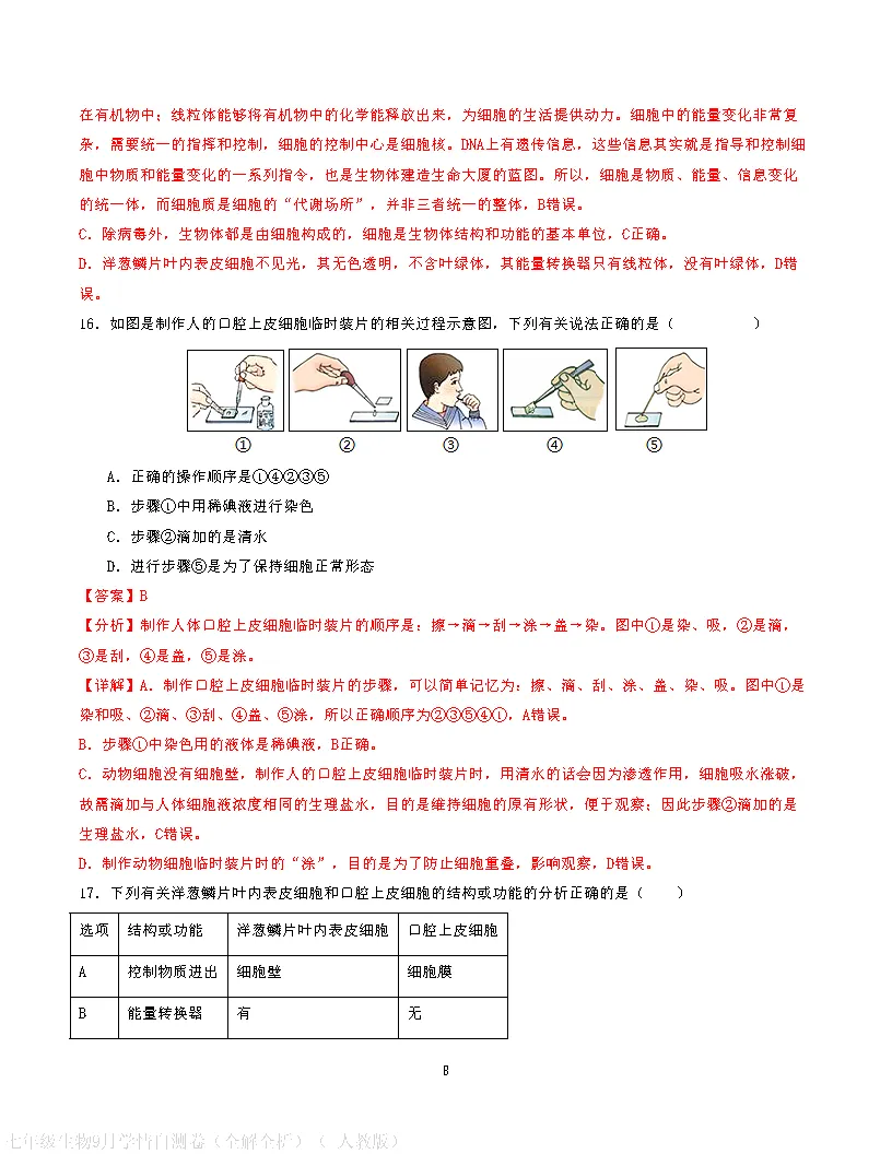 【试卷】2026-2027学年人教版七年级上学期生物第一次月考试卷(含答案解析)-第18张图片-四季读书网 【试卷】2026-2027学年人教版七年级上学期生物第一次月考试卷(含答案解析)-第18张图片-四季读书网