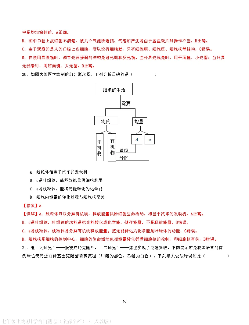 【试卷】2026-2027学年人教版七年级上学期生物第一次月考试卷(含答案解析)-第20张图片-四季读书网 【试卷】2026-2027学年人教版七年级上学期生物第一次月考试卷(含答案解析)-第20张图片-四季读书网