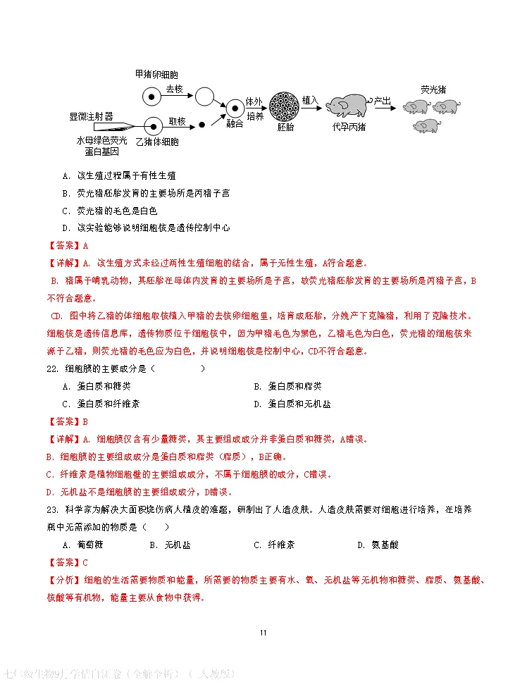 【试卷】2026-2027学年人教版七年级上学期生物第一次月考试卷(含答案解析)-第21张图片-四季读书网 【试卷】2026-2027学年人教版七年级上学期生物第一次月考试卷(含答案解析)-第21张图片-四季读书网