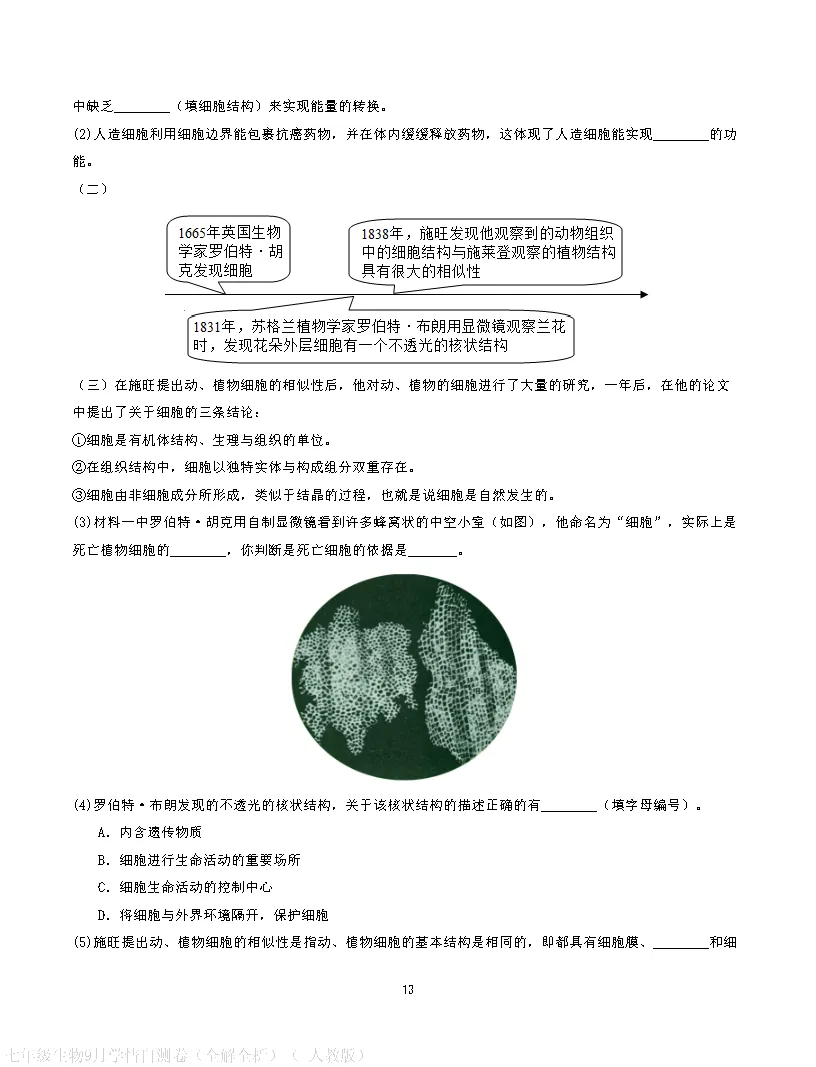 【试卷】2026-2027学年人教版七年级上学期生物第一次月考试卷(含答案解析)-第23张图片-四季读书网 【试卷】2026-2027学年人教版七年级上学期生物第一次月考试卷(含答案解析)-第23张图片-四季读书网