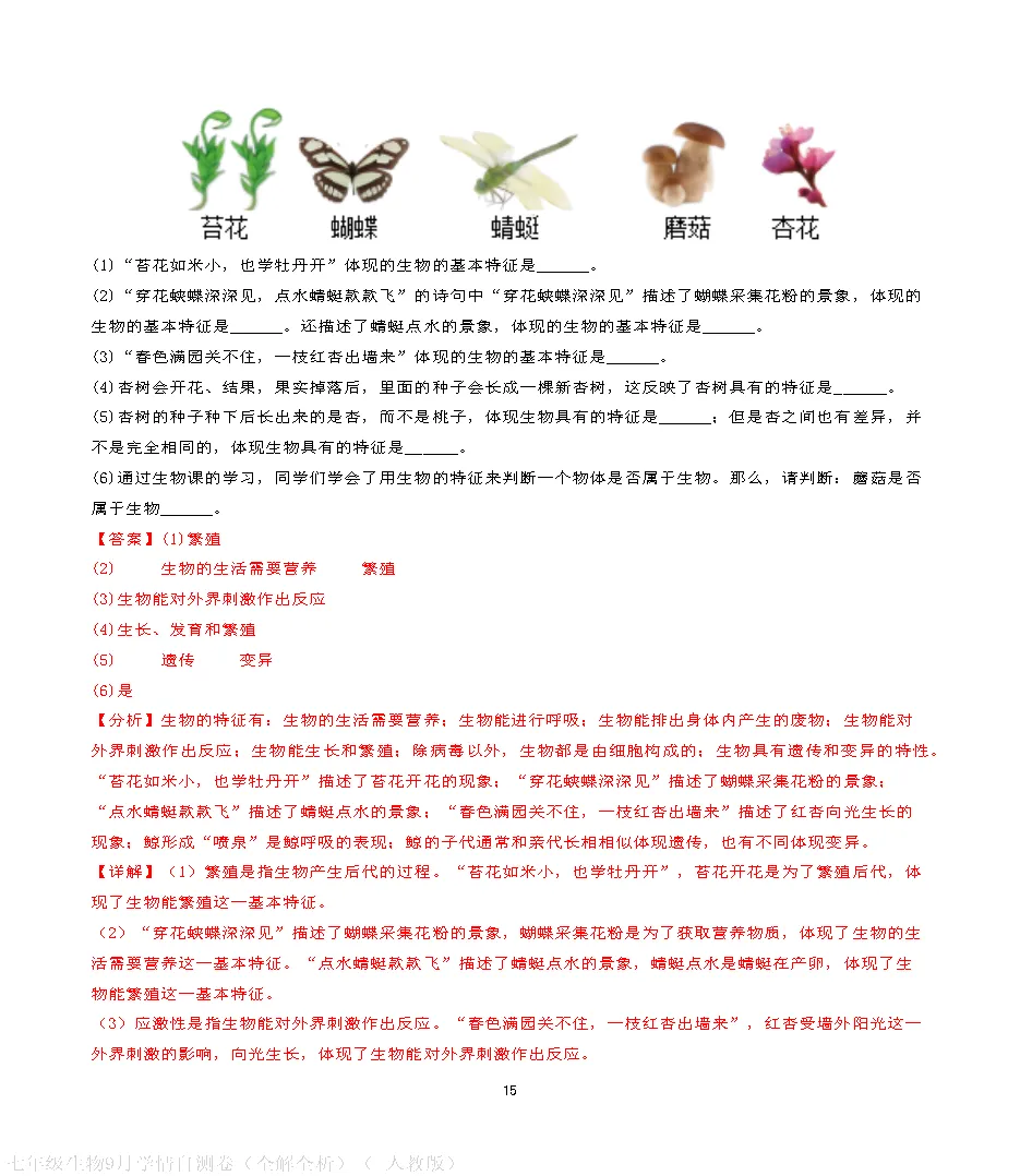 【试卷】2026-2027学年人教版七年级上学期生物第一次月考试卷(含答案解析)-第25张图片-四季读书网 【试卷】2026-2027学年人教版七年级上学期生物第一次月考试卷(含答案解析)-第25张图片-四季读书网