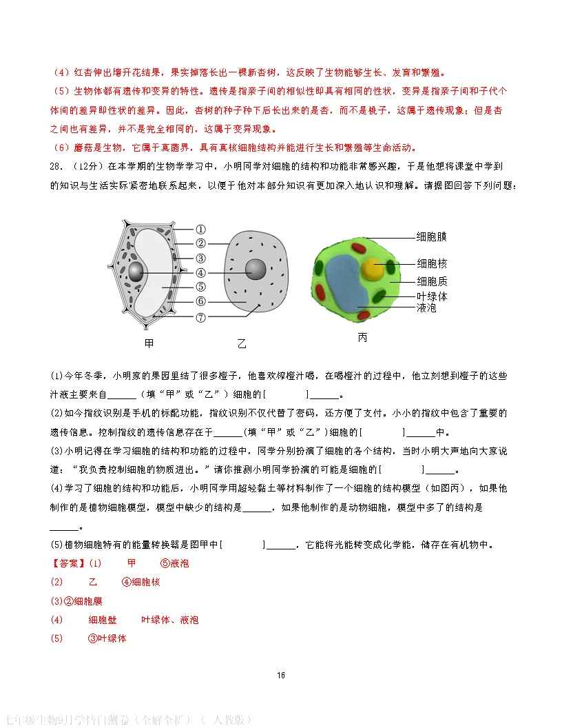 【试卷】2026-2027学年人教版七年级上学期生物第一次月考试卷(含答案解析)-第26张图片-四季读书网 【试卷】2026-2027学年人教版七年级上学期生物第一次月考试卷(含答案解析)-第26张图片-四季读书网