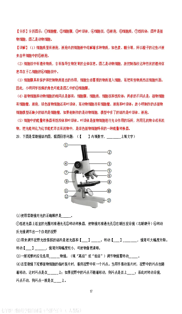 【试卷】2026-2027学年人教版七年级上学期生物第一次月考试卷(含答案解析)-第27张图片-四季读书网 【试卷】2026-2027学年人教版七年级上学期生物第一次月考试卷(含答案解析)-第27张图片-四季读书网