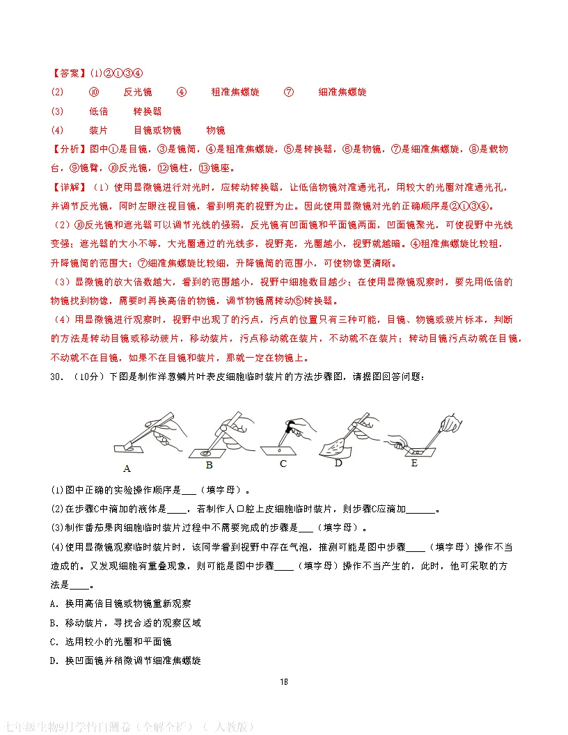 【试卷】2026-2027学年人教版七年级上学期生物第一次月考试卷(含答案解析)-第28张图片-四季读书网 【试卷】2026-2027学年人教版七年级上学期生物第一次月考试卷(含答案解析)-第28张图片-四季读书网
