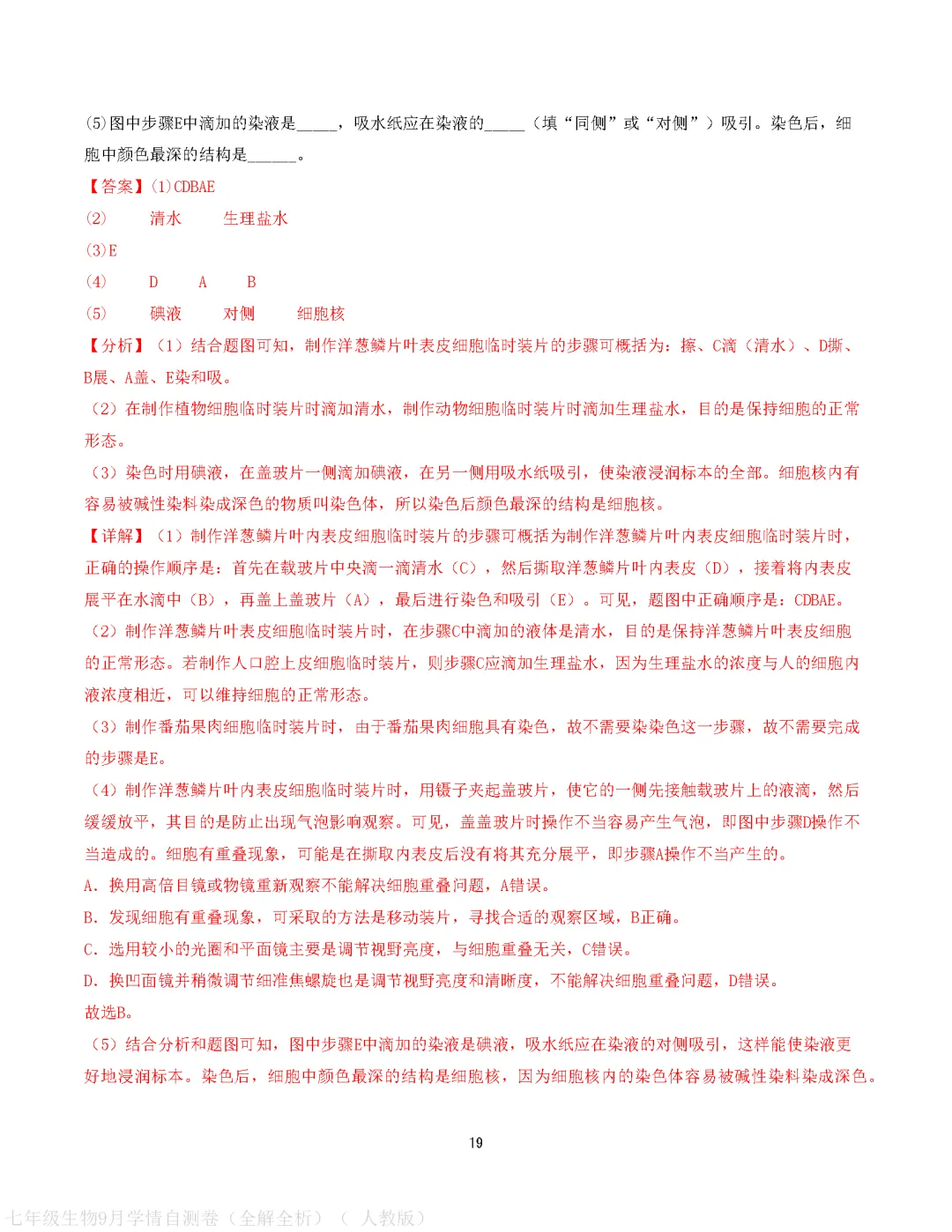 【试卷】2026-2027学年人教版七年级上学期生物第一次月考试卷(含答案解析)-第29张图片-四季读书网 【试卷】2026-2027学年人教版七年级上学期生物第一次月考试卷(含答案解析)-第29张图片-四季读书网