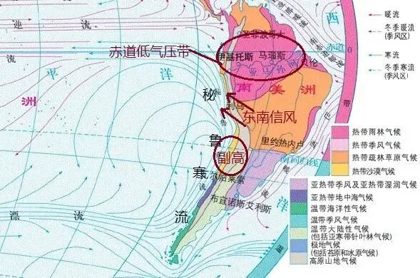 高考地理洋流题总丢分?命题老师常用的3个陷阱,90%的考生第一个就中招-第6张图片-四季读书网 高考地理洋流题总丢分?命题老师常用的3个陷阱,90%的考生第一个就中招-第6张图片-四季读书网