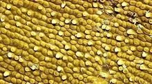 35届金钥匙真题出处解析-第7张图片-四季读书网