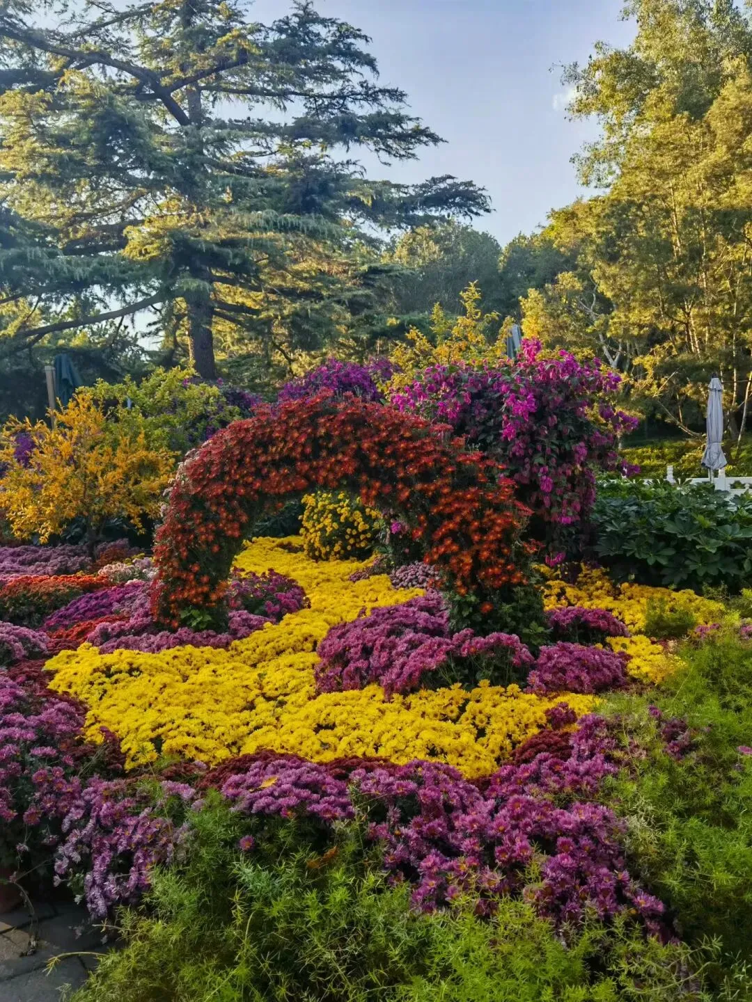 高考报名避坑指南:6个关键细节,零失误完成报名-第5张图片-四季读书网