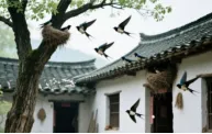 高考名句情境默写创新题型全面整理及专题训练(含读图题)-第8张图片-四季读书网
