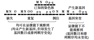 高中生物|高考热点题型,生物的变异与育种重难点汇总!-第4张图片-四季读书网 高中生物|高考热点题型,生物的变异与育种重难点汇总!-第4张图片-四季读书网