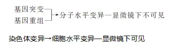 高中生物|高考热点题型,生物的变异与育种重难点汇总!-第6张图片-四季读书网 高中生物|高考热点题型,生物的变异与育种重难点汇总!-第6张图片-四季读书网