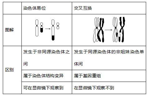 高中生物|高考热点题型,生物的变异与育种重难点汇总!-第7张图片-四季读书网 高中生物|高考热点题型,生物的变异与育种重难点汇总!-第7张图片-四季读书网
