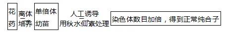高中生物|高考热点题型,生物的变异与育种重难点汇总!-第12张图片-四季读书网 高中生物|高考热点题型,生物的变异与育种重难点汇总!-第12张图片-四季读书网
