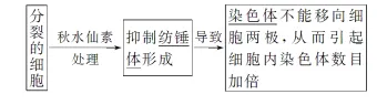 高中生物|高考热点题型,生物的变异与育种重难点汇总!-第13张图片-四季读书网 高中生物|高考热点题型,生物的变异与育种重难点汇总!-第13张图片-四季读书网