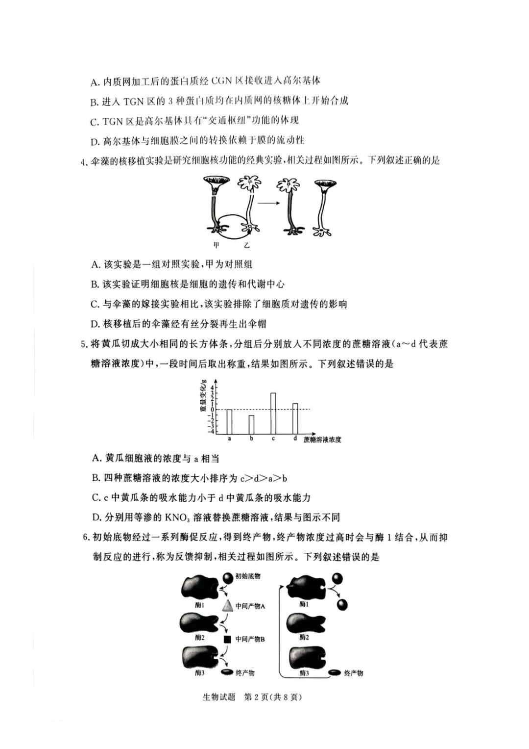 青桐鸣联考河南2027届高三10月全科试卷-第38张图片-四季读书网 青桐鸣联考河南2027届高三10月全科试卷-第38张图片-四季读书网