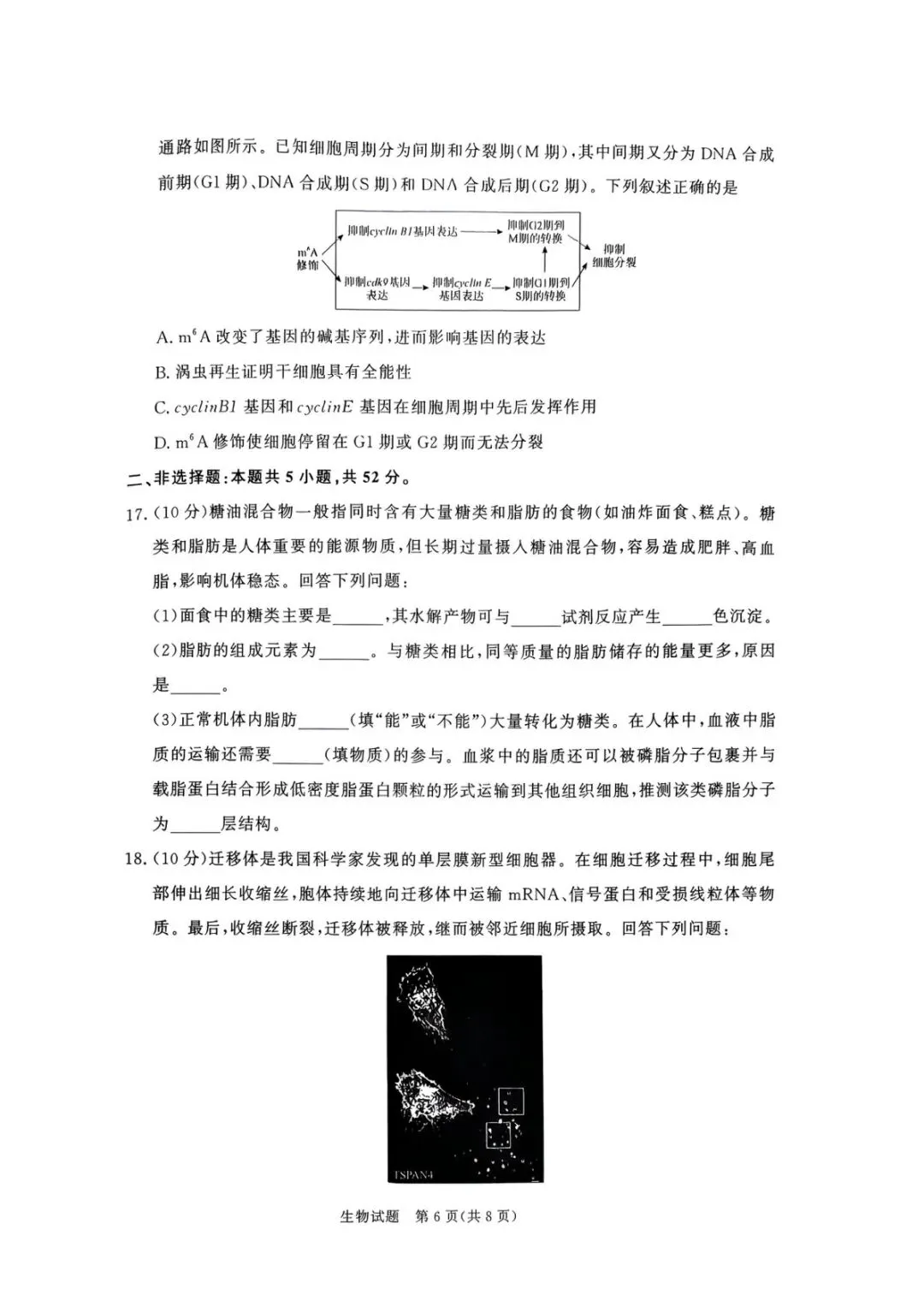 青桐鸣联考河南2027届高三10月全科试卷-第42张图片-四季读书网 青桐鸣联考河南2027届高三10月全科试卷-第42张图片-四季读书网