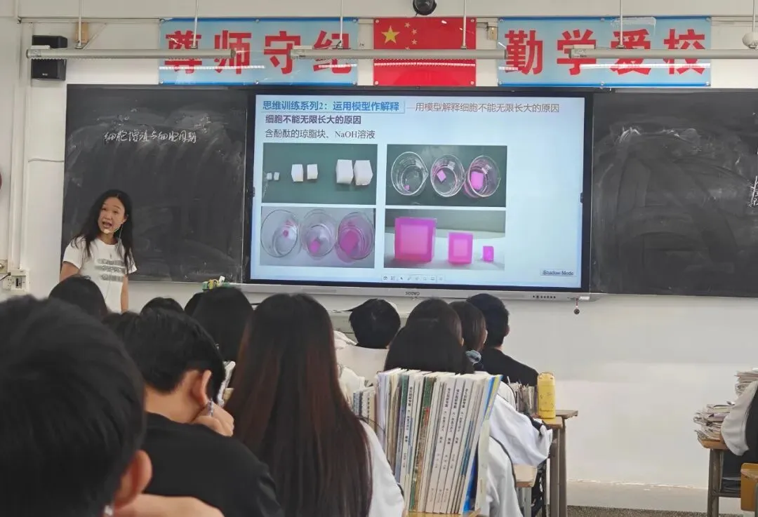 揭阳市、惠来县教研专家到惠来二中开展高考备考教学视导活动-第20张图片-四季读书网