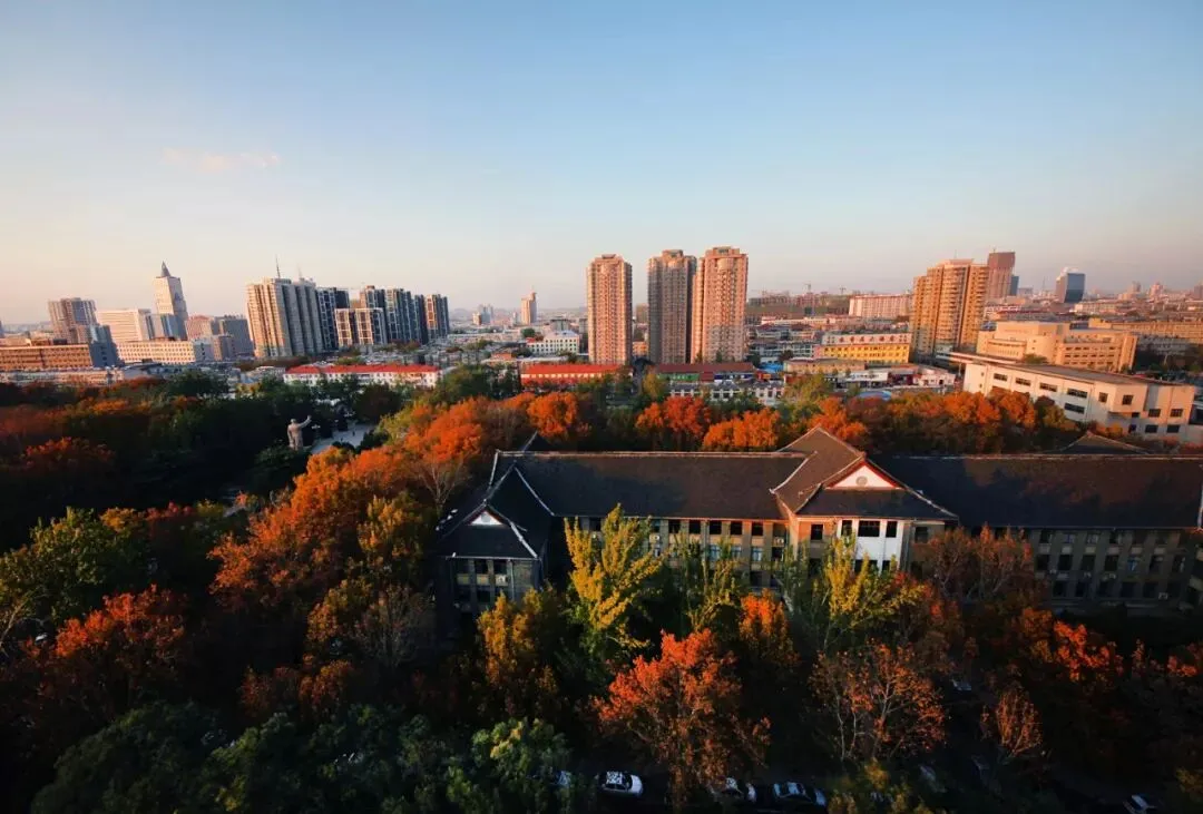 山东师范大学2026年成人高考招生简章-第7张图片-四季读书网 山东师范大学2026年成人高考招生简章-第7张图片-四季读书网