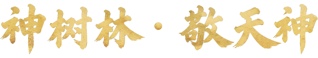 十月初一的年-第17张图片-四季读书网