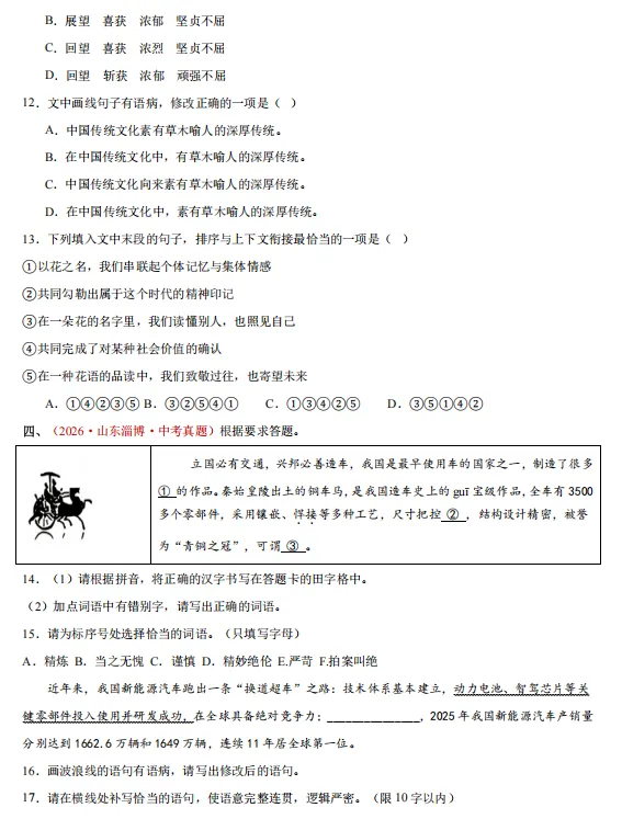 2026年中考语文“真题”分项汇编,全国通用版,备战2027中考,一定要练!-第10张图片-四季读书网 2026年中考语文“真题”分项汇编,全国通用版,备战2027中考,一定要练!-第10张图片-四季读书网