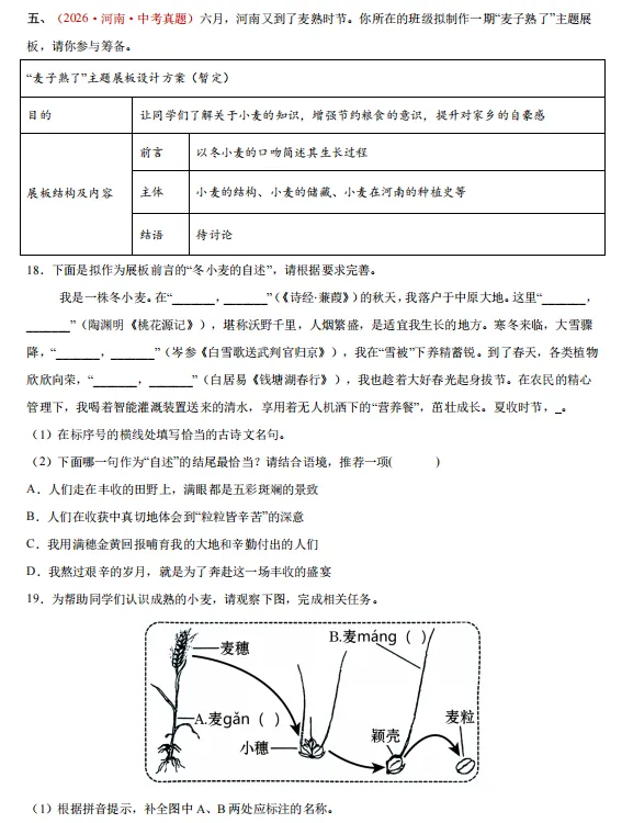 2026年中考语文“真题”分项汇编,全国通用版,备战2027中考,一定要练!-第11张图片-四季读书网 2026年中考语文“真题”分项汇编,全国通用版,备战2027中考,一定要练!-第11张图片-四季读书网