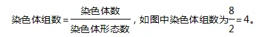 专题复习丨高考生物的变异与育种重难点-第8张图片-四季读书网