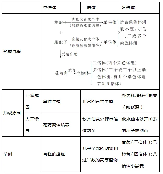 专题复习丨高考生物的变异与育种重难点-第9张图片-四季读书网