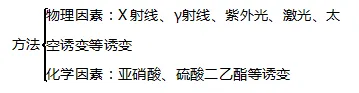 专题复习丨高考生物的变异与育种重难点-第10张图片-四季读书网