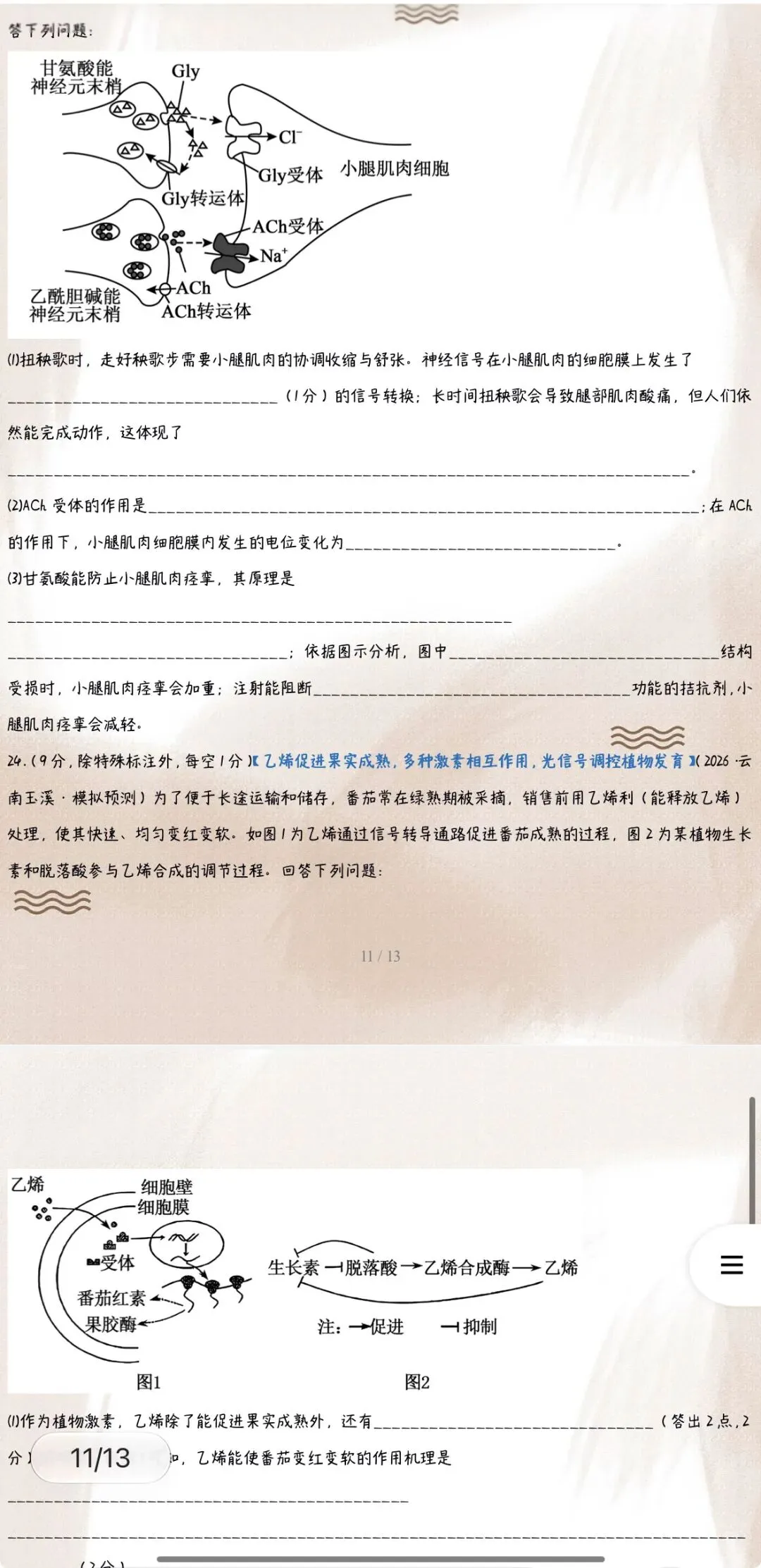 ‹2027年高考生物›一轮复习单元模块综合检测专项训练背默知识清单54份含全解全析(全国通用)全部word版文档获取方式见文末-第11张图片-四季读书网 ‹2027年高考生物›一轮复习单元模块综合检测专项训练背默知识清单54份含全解全析(全国通用)全部word版文档获取方式见文末-第11张图片-四季读书网