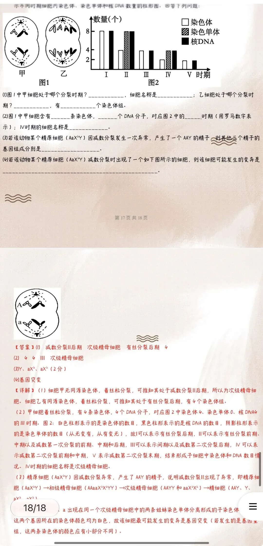 ‹2027年高考生物›一轮复习单元模块综合检测专项训练背默知识清单54份含全解全析(全国通用)全部word版文档获取方式见文末-第22张图片-四季读书网 ‹2027年高考生物›一轮复习单元模块综合检测专项训练背默知识清单54份含全解全析(全国通用)全部word版文档获取方式见文末-第22张图片-四季读书网