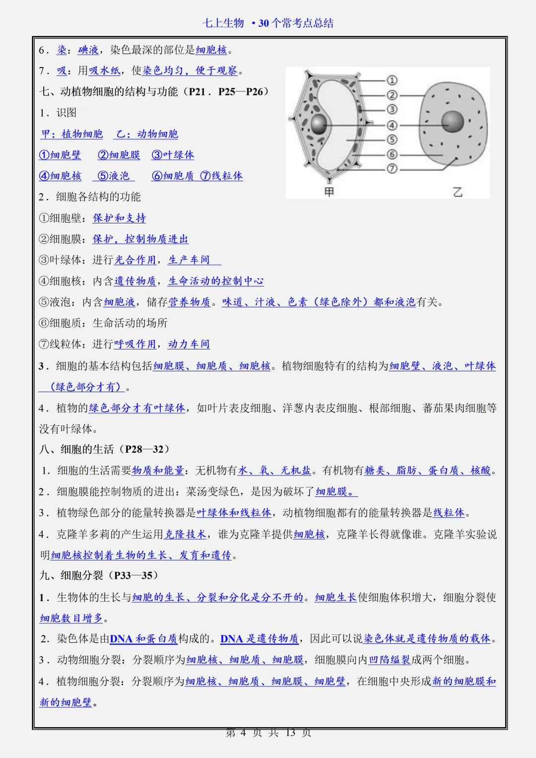 【初一】2026新版七年级上册生物期中复习核心常考点知识点总结,完整版可打印-第6张图片-四季读书网 【初一】2026新版七年级上册生物期中复习核心常考点知识点总结,完整版可打印-第6张图片-四季读书网