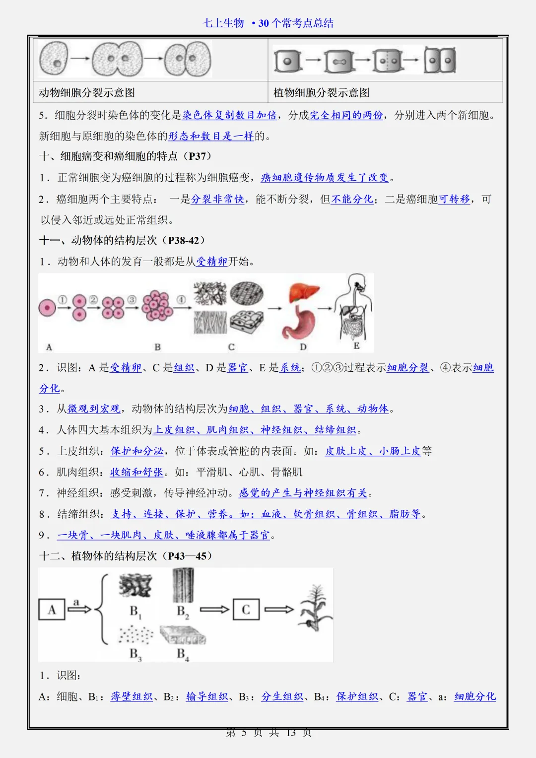 【初一】2026新版七年级上册生物期中复习核心常考点知识点总结,完整版可打印-第7张图片-四季读书网 【初一】2026新版七年级上册生物期中复习核心常考点知识点总结,完整版可打印-第7张图片-四季读书网