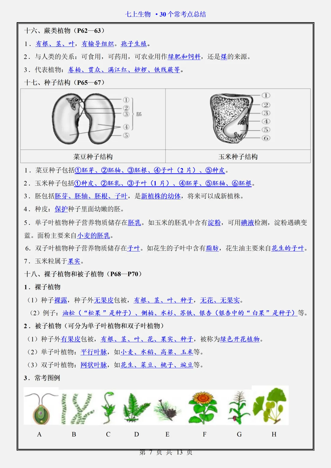 【初一】2026新版七年级上册生物期中复习核心常考点知识点总结,完整版可打印-第9张图片-四季读书网 【初一】2026新版七年级上册生物期中复习核心常考点知识点总结,完整版可打印-第9张图片-四季读书网