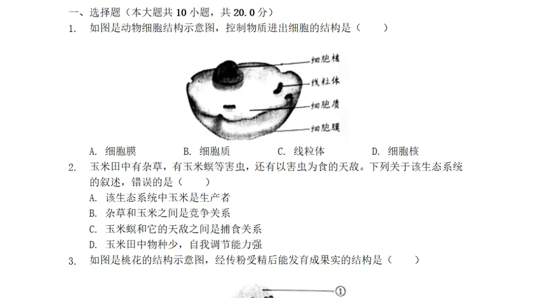 【中考试卷】2026安徽省中考真题试卷及答案解析含历年真题试卷2013-2026电子版-第4张图片-四季读书网 【中考试卷】2026安徽省中考真题试卷及答案解析含历年真题试卷2013-2026电子版-第4张图片-四季读书网