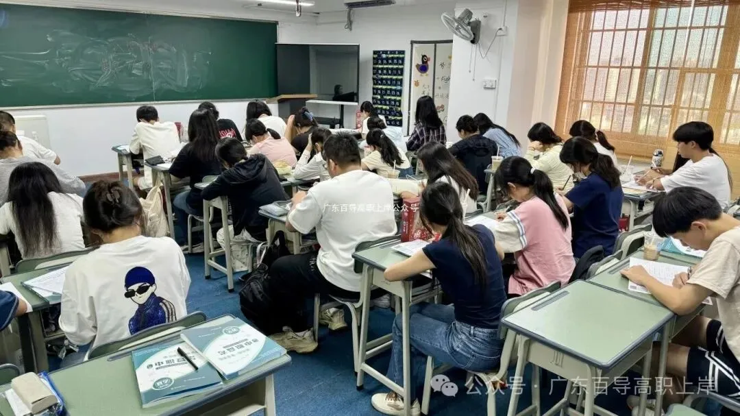 80天学习 | 2027年广东高职高考【全日制集训班、周末班、一对一、网课】-第20张图片-四季读书网