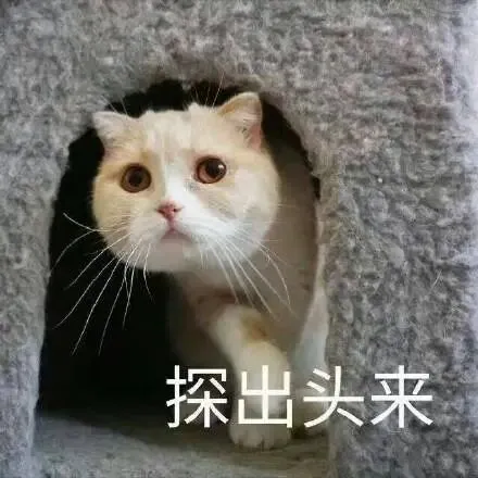中考荔湾区第一!首家分层走班来了!-第5张图片-四季读书网