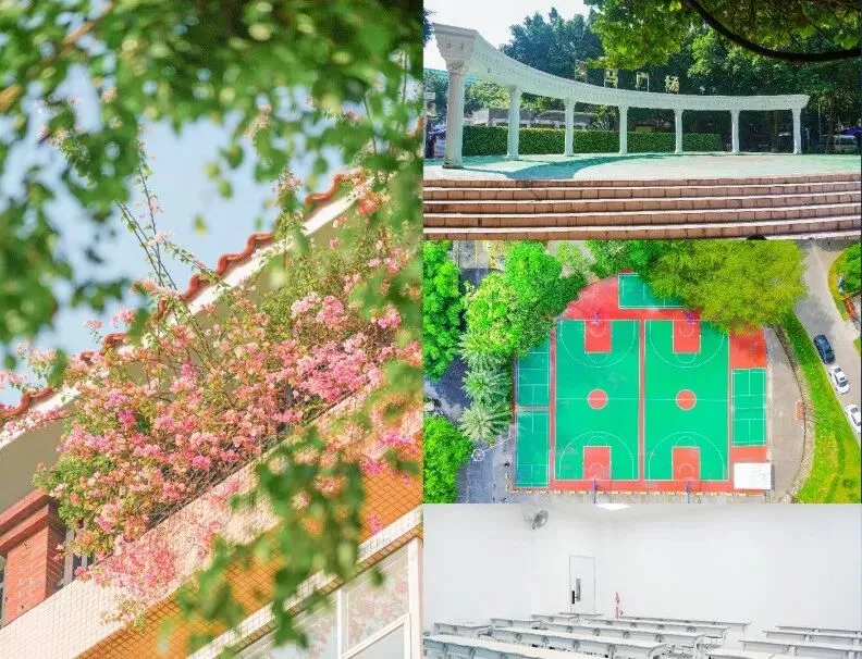 2027届初三家庭提前看 | 广州市涉外经济职业技术学院中职部(可提前春季招生报名)-第12张图片-四季读书网 2027届初三家庭提前看 | 广州市涉外经济职业技术学院中职部(可提前春季招生报名)-第12张图片-四季读书网