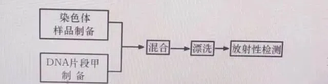 重视高考真题研究 深化知识方法理解-第1张图片-四季读书网
