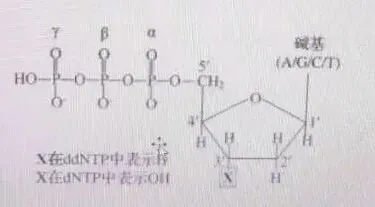 重视高考真题研究 深化知识方法理解-第2张图片-四季读书网