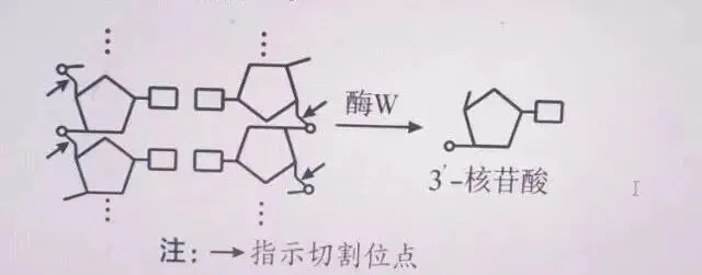 重视高考真题研究 深化知识方法理解-第3张图片-四季读书网