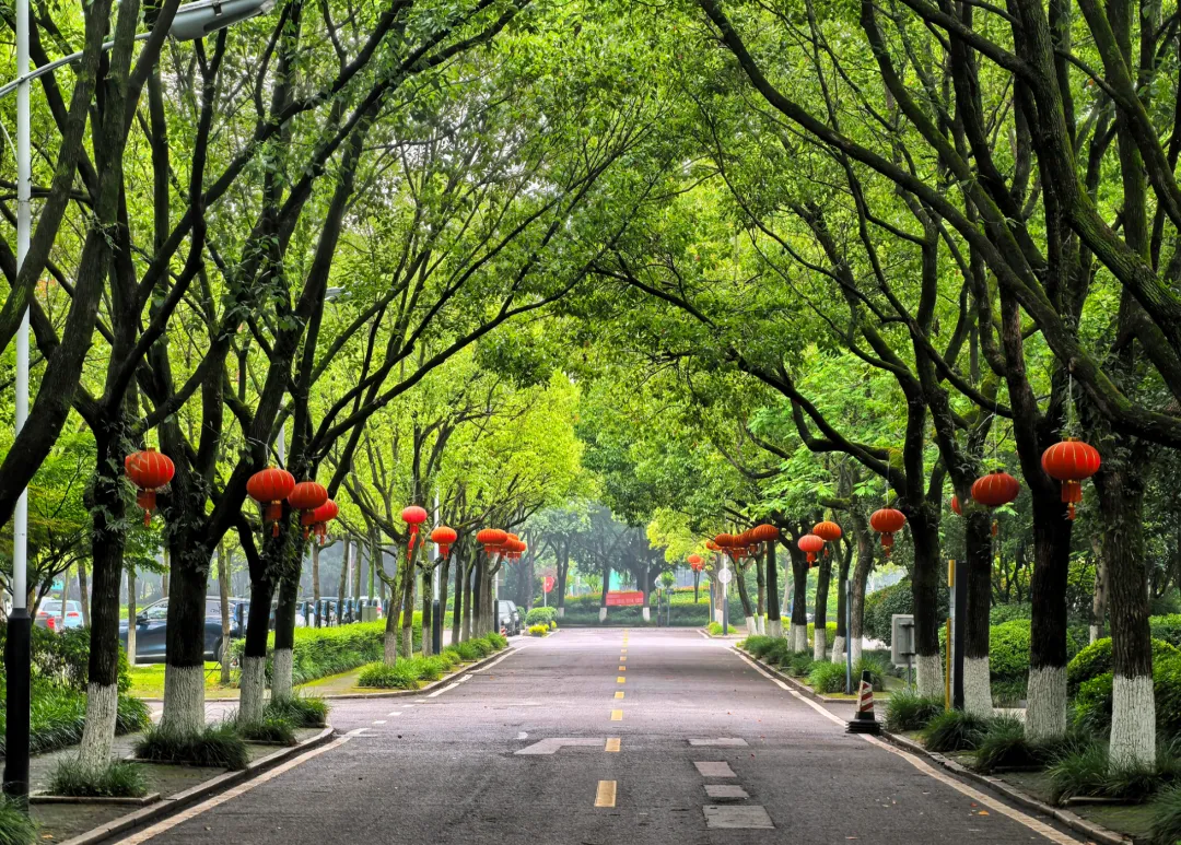【高考志愿】电气工程及其自动化(普通本科篇):能进供电局的“硬核工科”,适合哪类孩子?-第4张图片-四季读书网 【高考志愿】电气工程及其自动化(普通本科篇):能进供电局的“硬核工科”,适合哪类孩子?-第4张图片-四季读书网