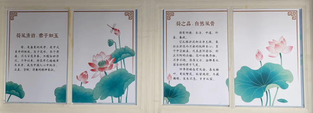 十九 · 初三|浸润荷风雅韵 厚植育人底色——赋能初三,构建有温度的年级文化-第3张图片-四季读书网 十九 · 初三|浸润荷风雅韵 厚植育人底色——赋能初三,构建有温度的年级文化-第3张图片-四季读书网
