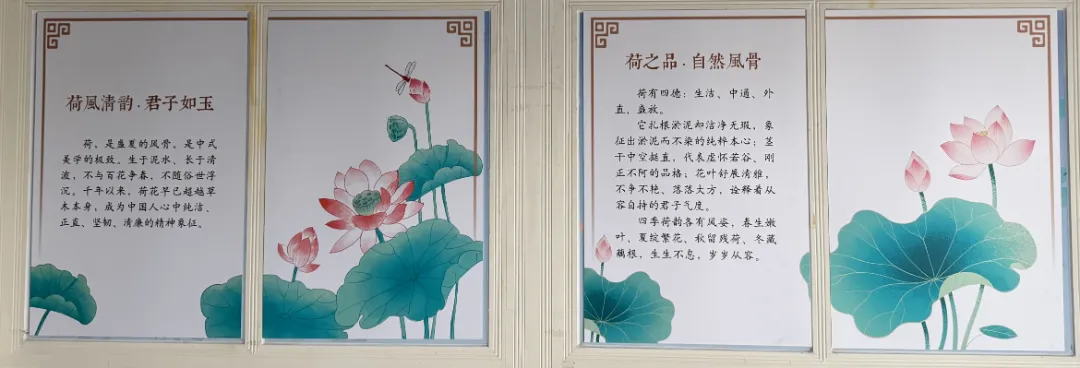 十九 · 初三|浸润荷风雅韵 厚植育人底色——赋能初三,构建有温度的年级文化-第4张图片-四季读书网 十九 · 初三|浸润荷风雅韵 厚植育人底色——赋能初三,构建有温度的年级文化-第4张图片-四季读书网