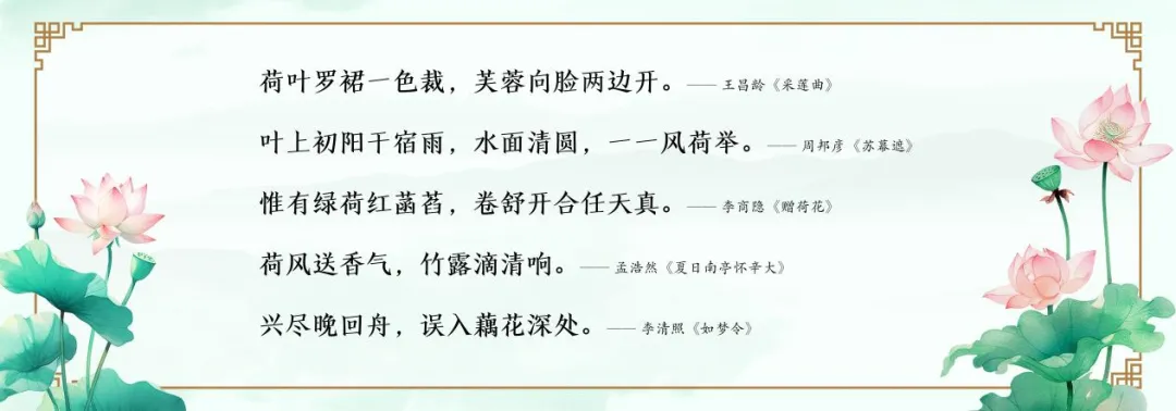 十九 · 初三|浸润荷风雅韵 厚植育人底色——赋能初三,构建有温度的年级文化-第7张图片-四季读书网 十九 · 初三|浸润荷风雅韵 厚植育人底色——赋能初三,构建有温度的年级文化-第7张图片-四季读书网