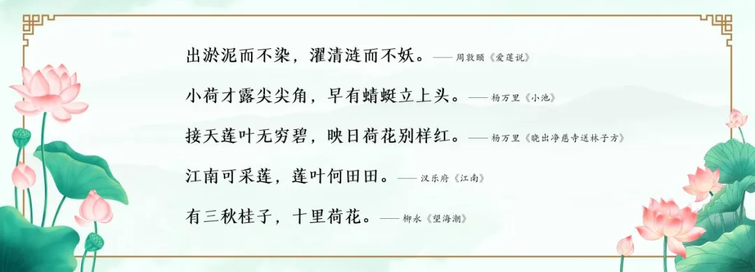 十九 · 初三|浸润荷风雅韵 厚植育人底色——赋能初三,构建有温度的年级文化-第8张图片-四季读书网 十九 · 初三|浸润荷风雅韵 厚植育人底色——赋能初三,构建有温度的年级文化-第8张图片-四季读书网