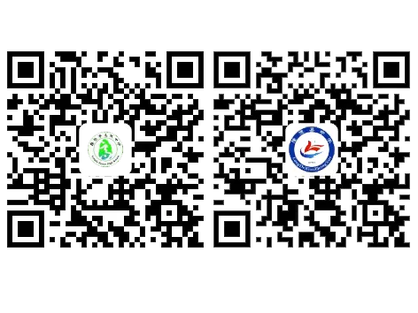 鉴往知来汲经验 凝心砺剑备高考——隆德县中学教育集团召开2027届高三备考研讨会-第21张图片-四季读书网 鉴往知来汲经验 凝心砺剑备高考——隆德县中学教育集团召开2027届高三备考研讨会-第21张图片-四季读书网