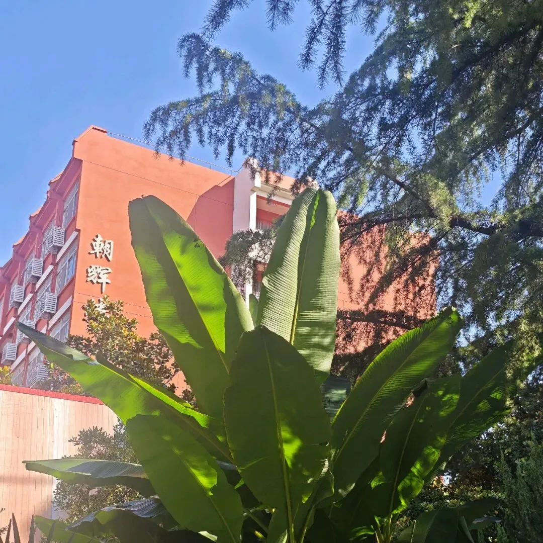 高考小说主旨意蕴探究-第4张图片-四季读书网