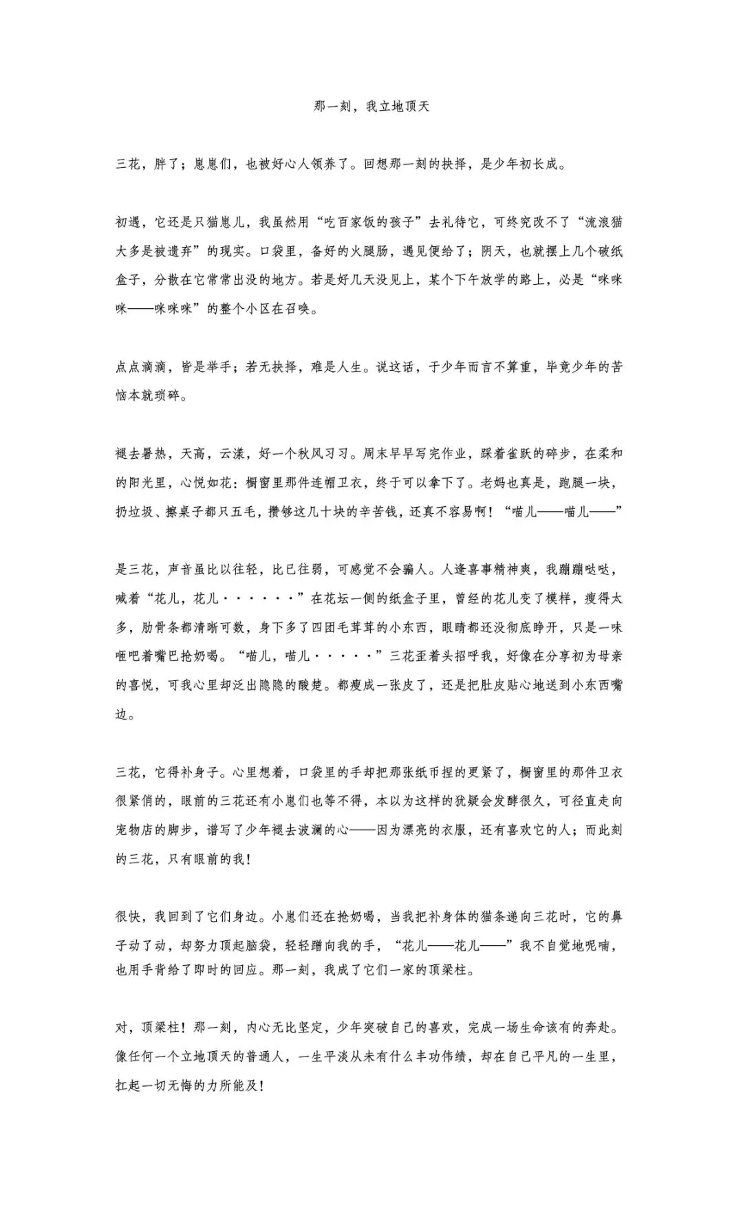 备战2027中考作文·半命题作文《那一刻,我····》-第3张图片-四季读书网 备战2027中考作文·半命题作文《那一刻,我····》-第3张图片-四季读书网