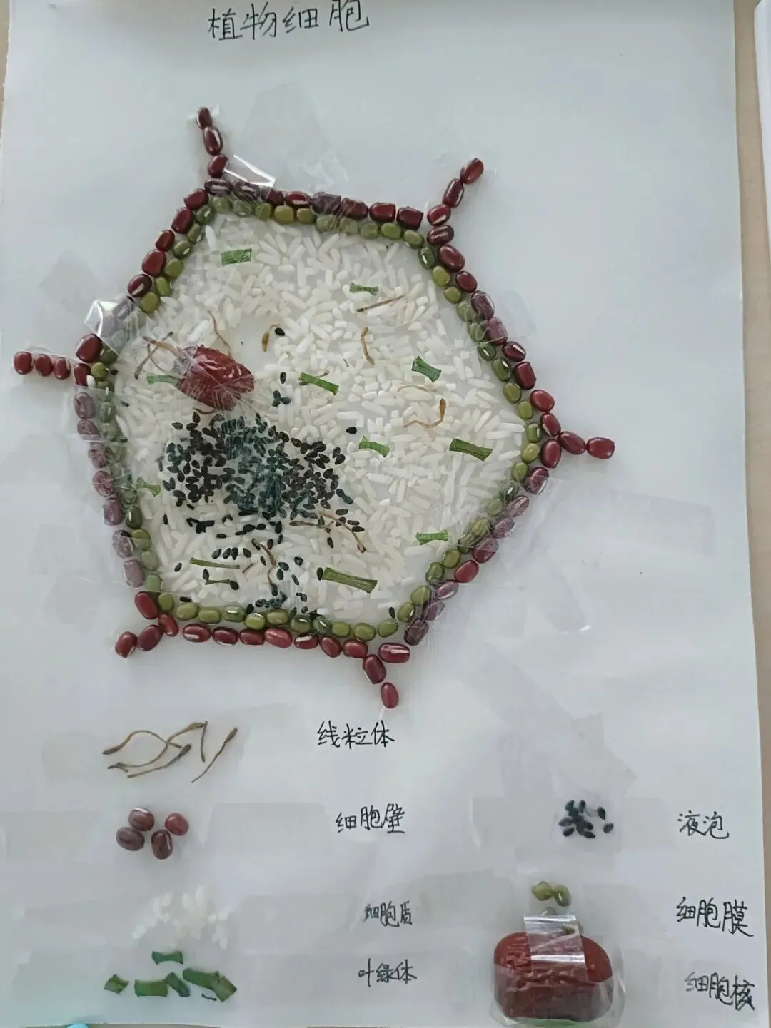 家校同心赴秋约|我校初一、初三年级家长会圆满举行-第6张图片-四季读书网 家校同心赴秋约|我校初一、初三年级家长会圆满举行-第6张图片-四季读书网